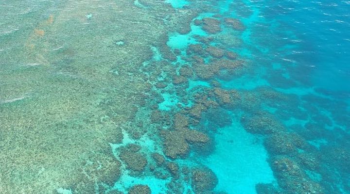 Daintree-National-Park-Great-Barrier-Reef