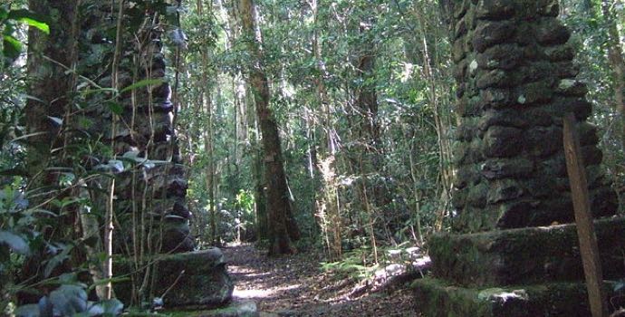Binna Burra to Green Mountains O'Reilly's Queensland
