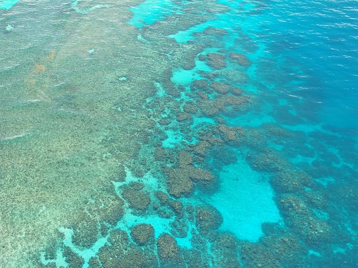 Daintree National Park Great Barrier Reef,Australia